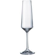 Bohemia - Corvus champagneglass 16 cl