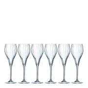 Chef & Sommelier - Symetrie champagneglass 6 stk 16 cl klar