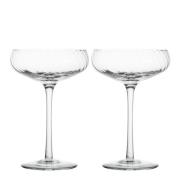 ByOn - Opacity champagneglass 30 cl 2 stk klar