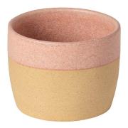 Costa Nova - Arenito krus 20 cl rosa