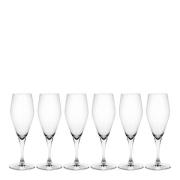 Holmegaard - Perfection champagneglass 23 cl 6 stk