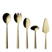 Aida - RAW bestikksett 5 deler champagne