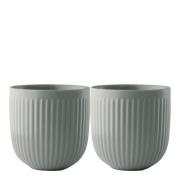 Eva Trio - Legio Nova kopp 34 cl uten hank 2 stk sage