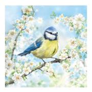 Ambiente - Serviett 33x33 cm 20 stk Blossom Time