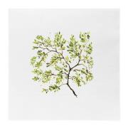 Sögne Home - Serviett lunch Forest 33 cm hvit