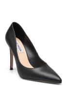 Evelyn-E Pump Shoes Heels Pumps Classic Black Steve Madden