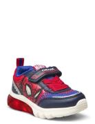 J Ciberdron Boy F Lave Sneakers Multi/patterned GEOX