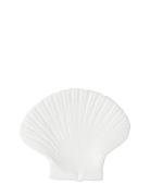 Plate Shell S Home Decoration Decorative Platters White Byon