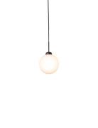 Apiales 1 Large Home Lighting Lamps Ceiling Lamps Pendant Lamps Black ...