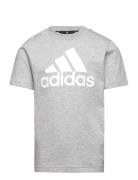 U Bl Tee Sport T-shirts Short-sleeved Grey Adidas Sportswear