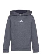 J Hea Hoodie Sport Sweat-shirts & Hoodies Hoodies Grey Adidas Performa...