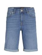 Jjirick Jjioriginal Shorts Mf 551 Sn Mni Bottoms Shorts Blue Jack & J ...