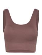 Soft Rib Seamless Crop Top Sport Bras & Tops Sports Bras - All Brown M...