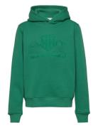 Tonal Shield Hoodie Tops Sweat-shirts & Hoodies Hoodies Green GANT