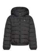 Shield Padded Jacket Fôret Jakke Black GANT