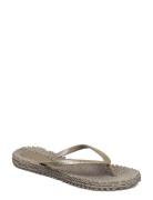 Flipflop With Glitter Shoes Summer Shoes Sandals Flip Flops Grey Ilse ...