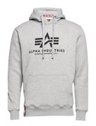 Basic Hoodie Designers Sweat-shirts & Hoodies Hoodies Grey Alpha Indus...