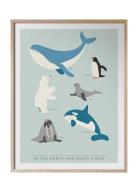 At The North And South Poles - På Engelska Home Kids Decor Posters & F...