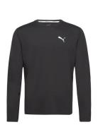 Run Cloudspun Ls Tee Sport T-shirts Long-sleeved Black PUMA