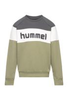 Hmlclaes Sweatshirt Sport Sweat-shirts & Hoodies Sweat-shirts Green Hu...