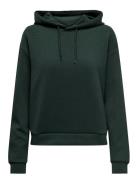 Onplounge Ls Hood Sweat - Noos Sport Sweat-shirts & Hoodies Hoodies Gr...