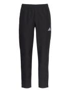 Ent22 Pre Pnt Sport Sweatpants Black Adidas Performance