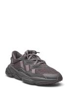 Ozweego J Sport Sports Shoes Running-training Shoes Grey Adidas Origin...