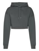 Studio Over D Cropped Hoodie Tops Sweat-shirts & Hoodies Hoodies Grey ...