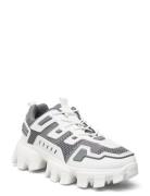 Prize-K Sneaker Lave Sneakers Grey Steve Madden