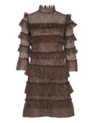 Carmine Frill Lace Mini Dress Designers Short Dress Brown Malina