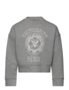 Sweatshirt Tops Sweat-shirts & Hoodies Sweat-shirts Grey Zadig & Volta...