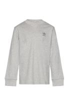 Long Sleeve Tops T-shirts Long-sleeved T-shirts Grey Adidas Originals