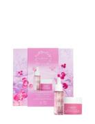 Lumene Nordic Bloom Berry Smooth Firming Set Hudpleiesett Nude LUMENE