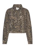 Leopard-Print Denim Jacket Dongerijakke Denimjakke Brown Mango