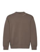 Sweatshirt Tops Sweat-shirts & Hoodies Sweat-shirts Brown Emporio Arma...