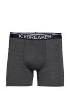 Men Merino 150 Anatomica Boxers Boksershorts Grey Icebreaker